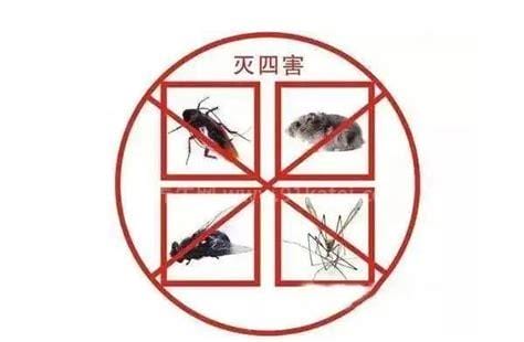 四害是指哪4种，是指苍蝇/蚊子/老鼠/蟑螂(容易传播疾病)