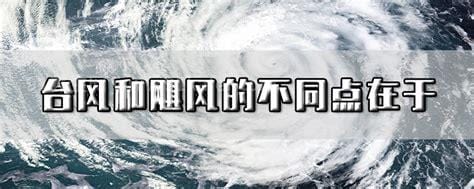 台风和飓风的不同点在于，地方的叫法不一样(其余都相同)