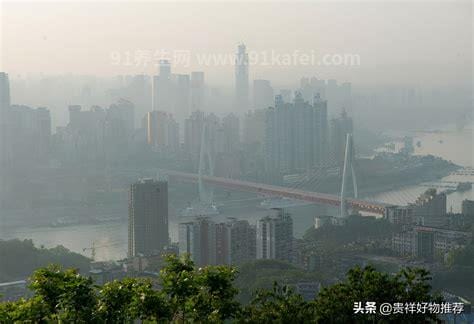 雾都是哪个城市 最著名的英国伦敦（世界有六大雾都）