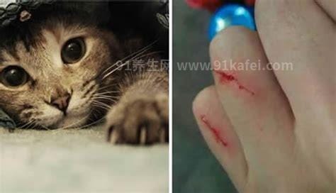 10种图片猫抓破皮不需要打针，家猫抓