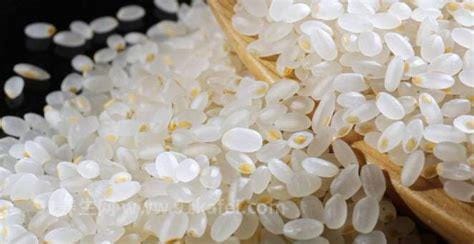 胚芽米和大米的区别及功效与作用，颜色口感都不相同