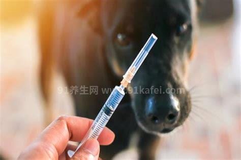 10种情况不需要打狂犬疫苗，注意皮肤没有明确外伤