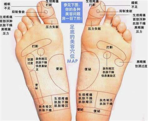 脚的各个部位详细图，由脚弓/脚背/内脚背/外脚背/脚底组成