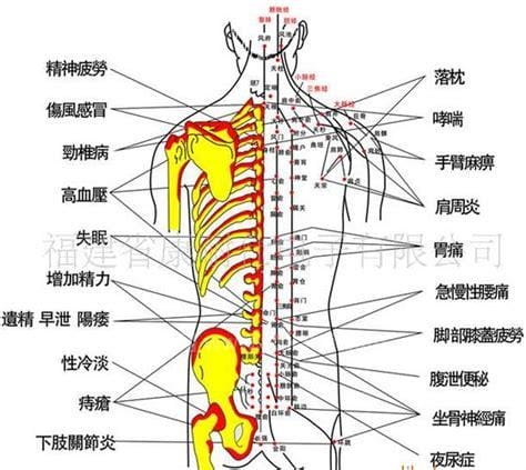 男女后背疼痛位置图详解，含左右后背