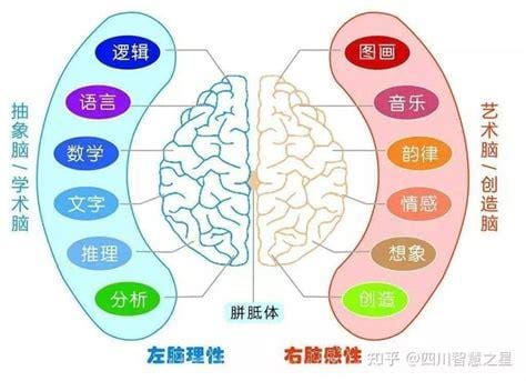 右脑型的人是什么样的人，艺术以及音