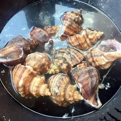 海螺的做法煮多长时间，最快5分钟不需要半小时 (大小海螺时间不同)