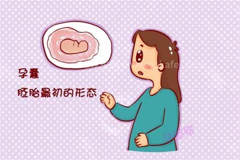 生男生女其实看孕囊很准，看6-7周的孕囊大小准确率高达80%