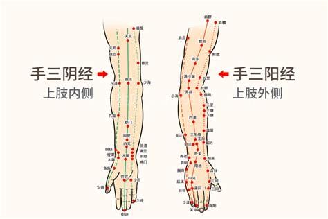 手臂经络图6条走向，分为手三阳和手三阴(手三阴胸起往手走)