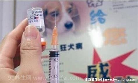 其实大部分人不用打狂犬疫苗，这5种