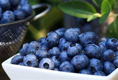 蓝莓一天吃多少为宜，50克的蓝莓在4到6颗左右最佳(以免影响身体)