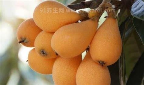 这6种水果止咳化痰效果好，甘蔗煮水好吃好喝又治病