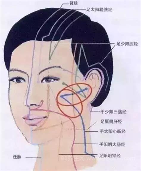 面部经络图走向图，任脉堵塞脸部会暗