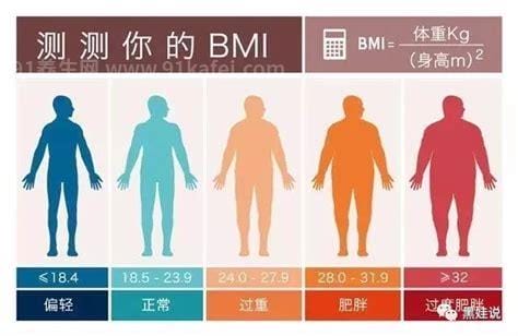 bmi指数男女标准图，计算后可看是属偏瘦还是肥胖(1个公式即可计算)
