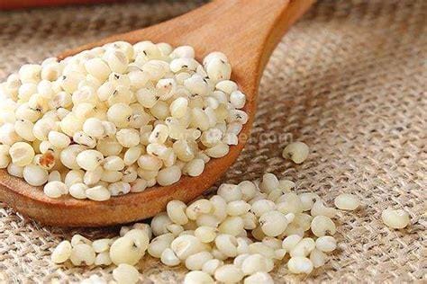 高粱米怎么吃 高粱米的正确吃法