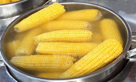 玉米煮多久能熟 煮玉米需要多长时间