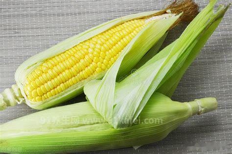 甜玉米是转基因的吗
