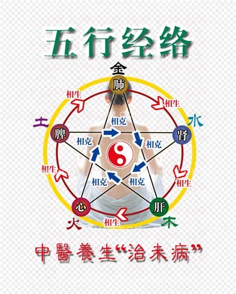 五行经络养生 做好经络养生很重要