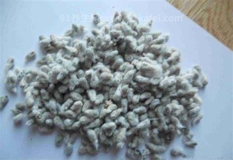 棉籽壳是什么 棉籽壳的用途有哪些