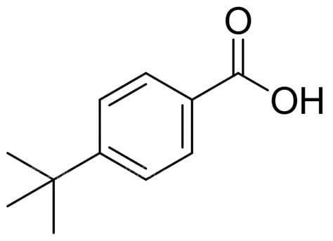 叔丁基苯