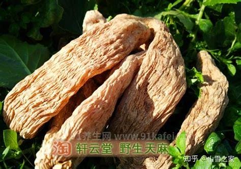 中药天麻茎叶的功效与作用_天麻茎叶的用法用量和禁忌注意