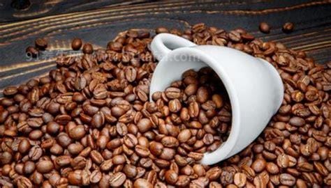 咖啡豆怎么吃 咖啡豆磨成粉后怎么喝