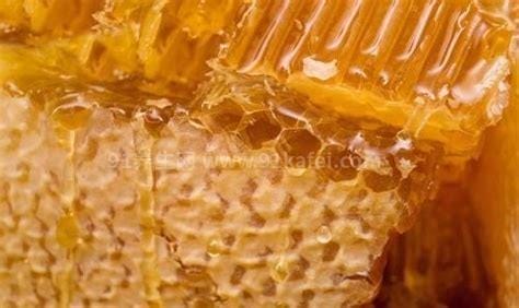 老山蜂胶液的功效与作用