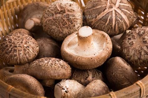 野生大花菇的功效与作用 野生大花菇的做法步骤教程