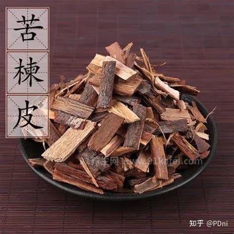 苦楝皮的功效与作用