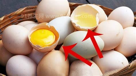 如何正确挑选鸡蛋 盘点不宜食用鸡