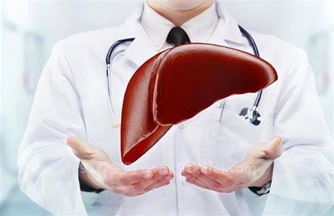 饥饿对肝脏的好处影响有哪些，对毛细血管有好处还能保持体重优质