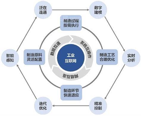 性服务行业的专业术语，羊上树/猫鼠