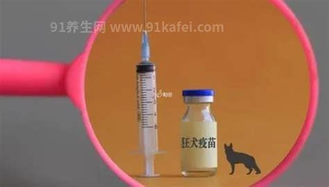 打完狂犬疫苗后悔死了，出现的不良反