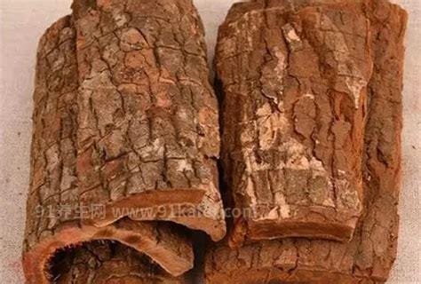 卡宾达树皮的功效与作用 卡宾达树皮的食用方法