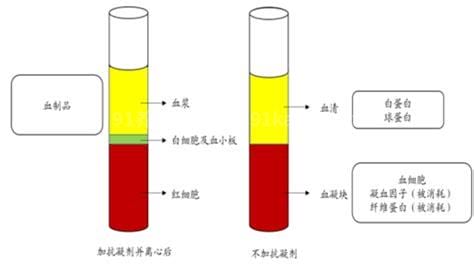 血浆和血液的区别