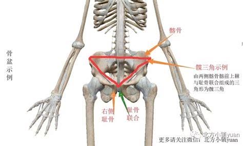 髂前上棘和髂嵴最高点的区别是什么