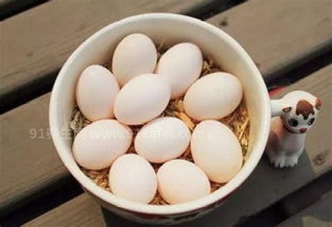 吃鸽子蛋有什么好处和坏处
