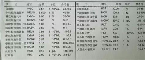 中性粒细胞绝对值正常值