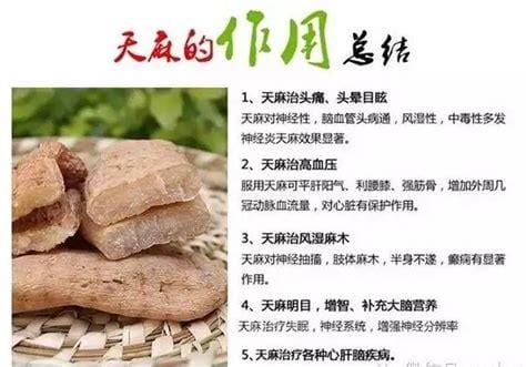 鲜天麻的正确吃法与功效