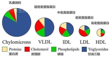 脂蛋白a值高800是癌症早期吗