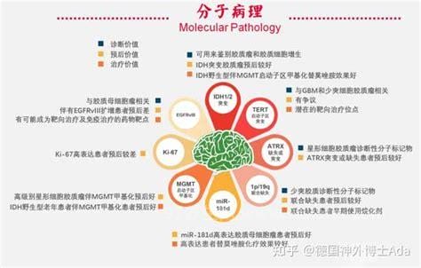 ki67百分之5～10是早期癌吗