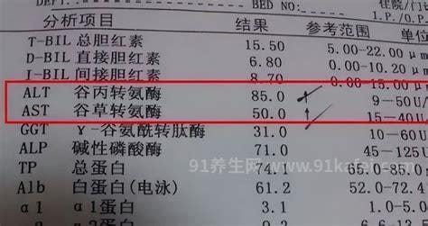 谷丙转氨酶升高是什么引起的