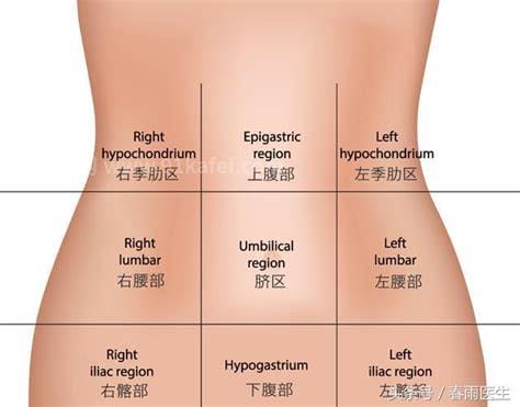 肚子左下方疼是怎么回事