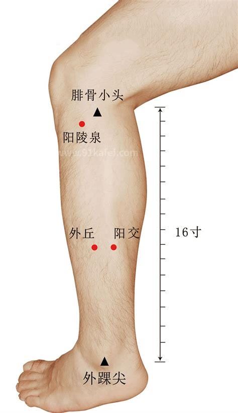 阳辅的准确位置图和作用及按摩方法