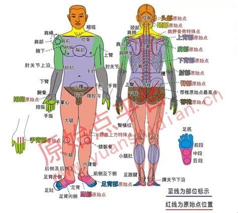 什么是原始点疗法