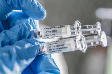 新冠疫苗vero细胞是什么意思