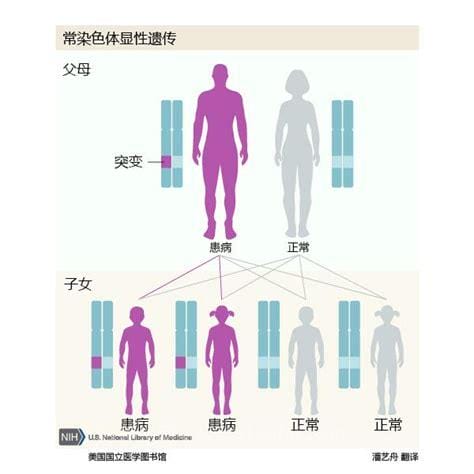 隔代遗传什么意思