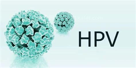 低危型hpv6可否自愈