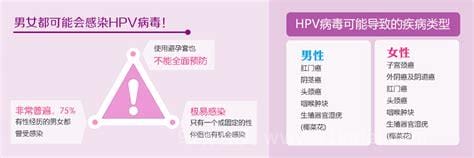 hpv病毒是怎么来的