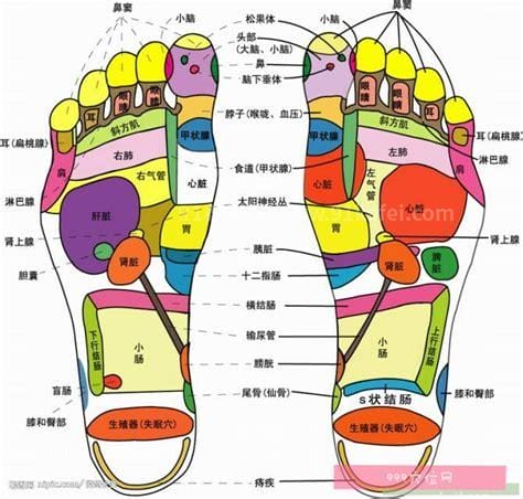 脚底的五种按摩方法 增强五脏排清毒素