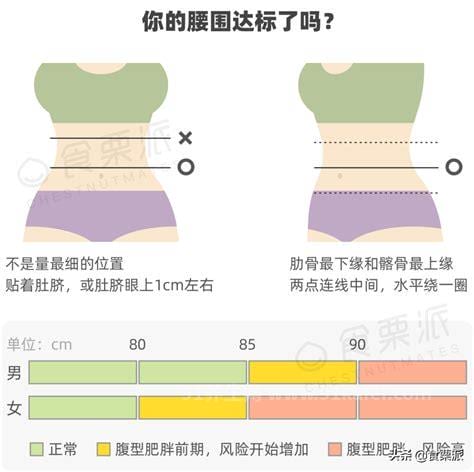 腰围的正常范围是多少